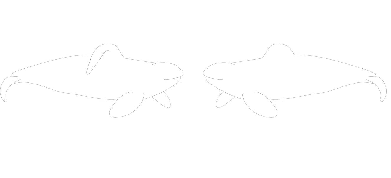 Pay to Use Orca Lineart by NarniaOrca on DeviantArt