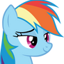 Confident Dash