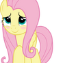 FlutterSHY