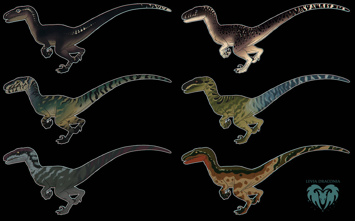 velociraptor jwe