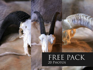FREE Photo Pack - Horns 1