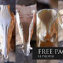 FREE Photo Pack - Wild boar Skull