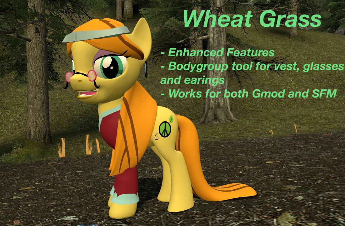 Gmod/SFM Download: Wheat Grass