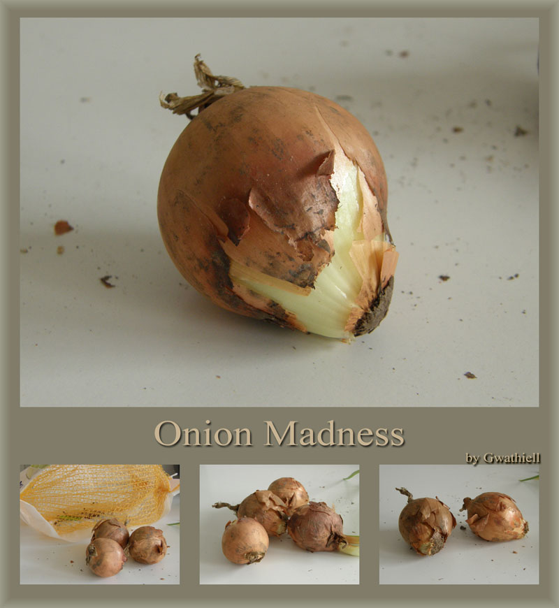 Onion Madness