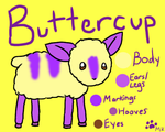 Buttercup Reference by fangs211