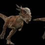 Stygimoloch photomanipulation