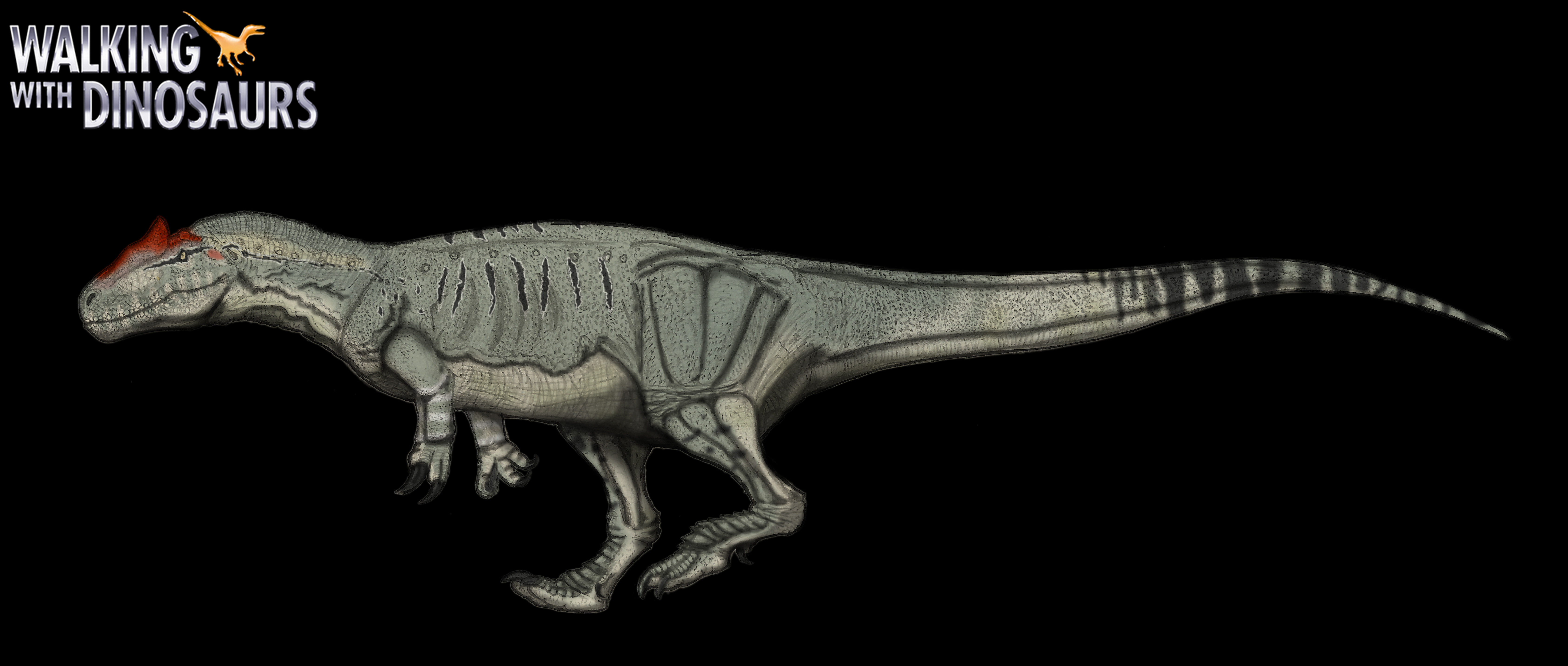 Allosaurus by kingrexy on DeviantArt
