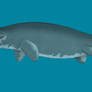 Mosasaurus hoffmanni