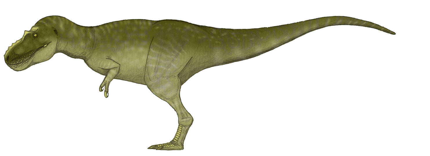 dinosaurio rey daspletosaurio