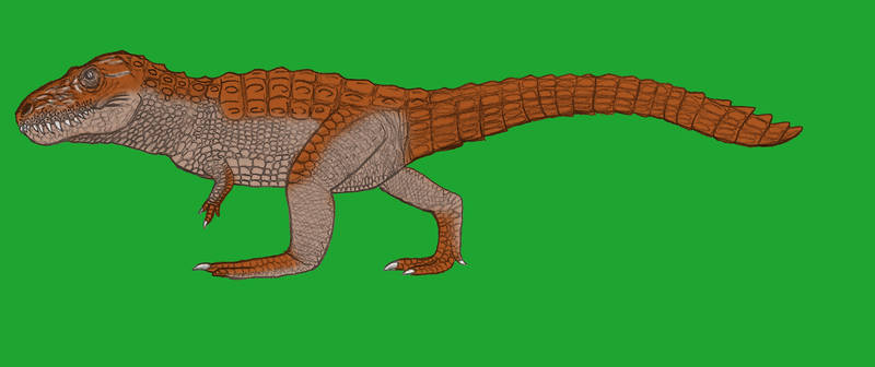 If Tyrannosaurus was a mahajungasuchid