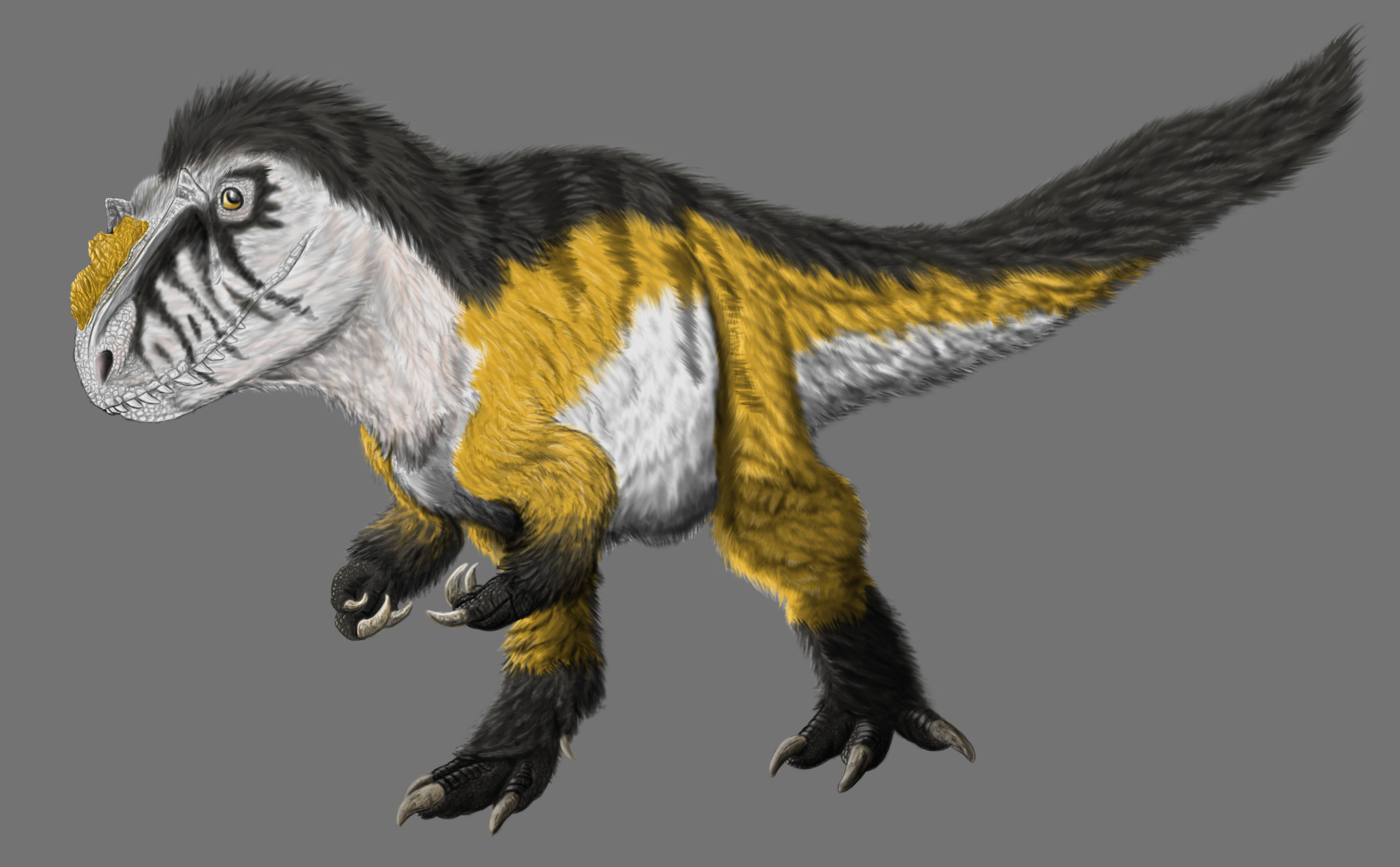 Commission 12 Yutyrannus by kingrexy on DeviantArt