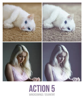 Photoshop Action 5