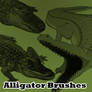 Alligator Brushes