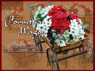 Poinsettia Wagon PACK