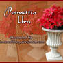 Poinsettia Urn PACK