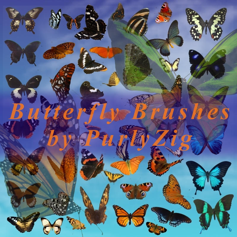 Butterfly Brush Set by PurlyZig on DeviantArt