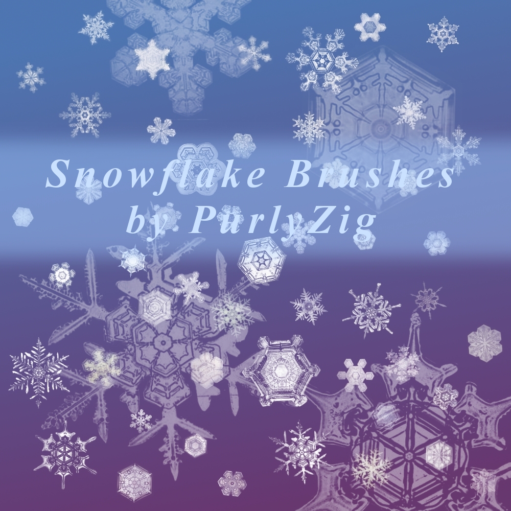 Actual Snowflakes Brush Set by PurlyZig on DeviantArt