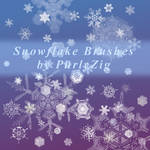 Actual Snowflakes Brush Set by PurlyZig
