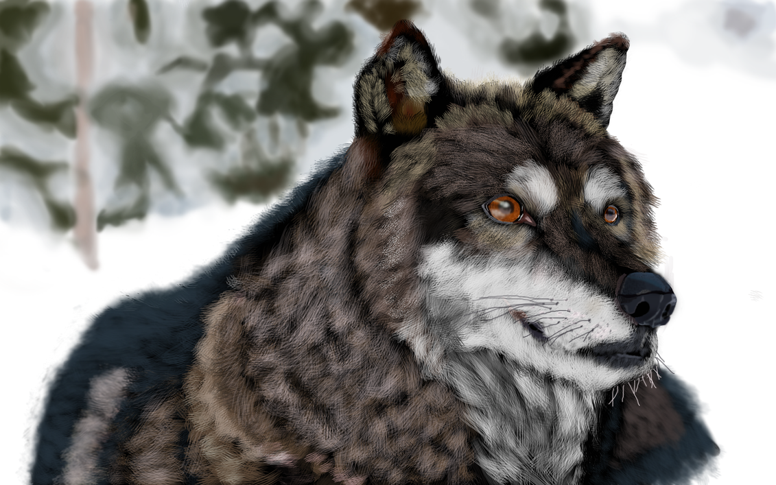 Wolfie by Cleverun on DeviantArt
