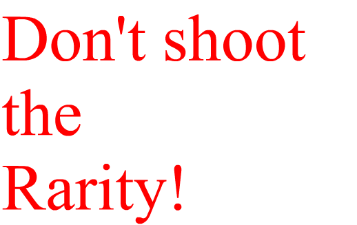 Don't shoot Rarity