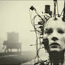 After Humanity
