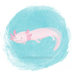 Georges the Axolotl