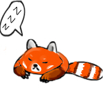 Sleeping Red Panda