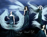 AquaLilia Wings Brushes by AquaLilia