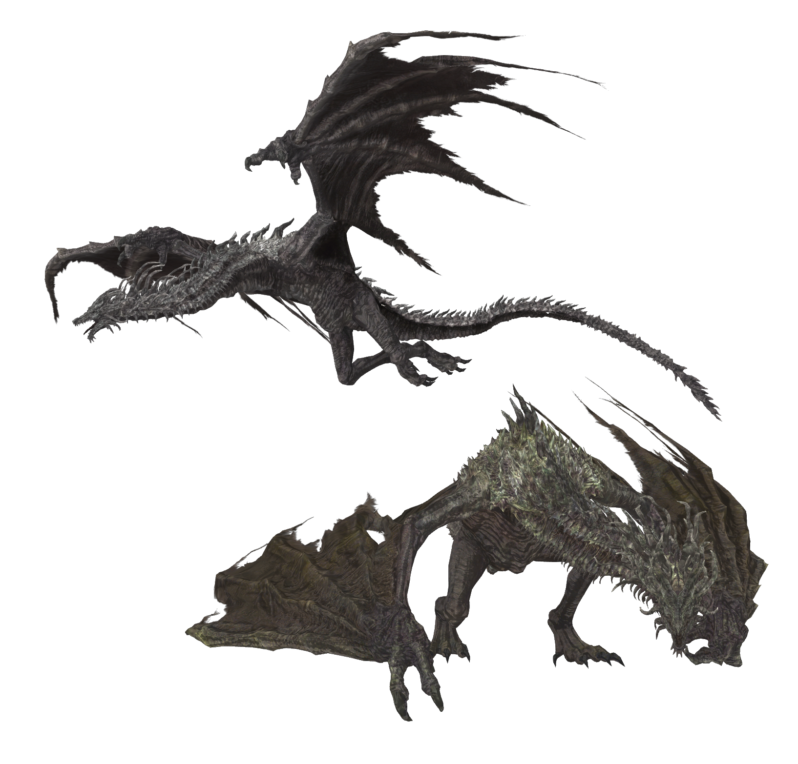 Lotric Wyverns png by TokamiFuko on DeviantArt