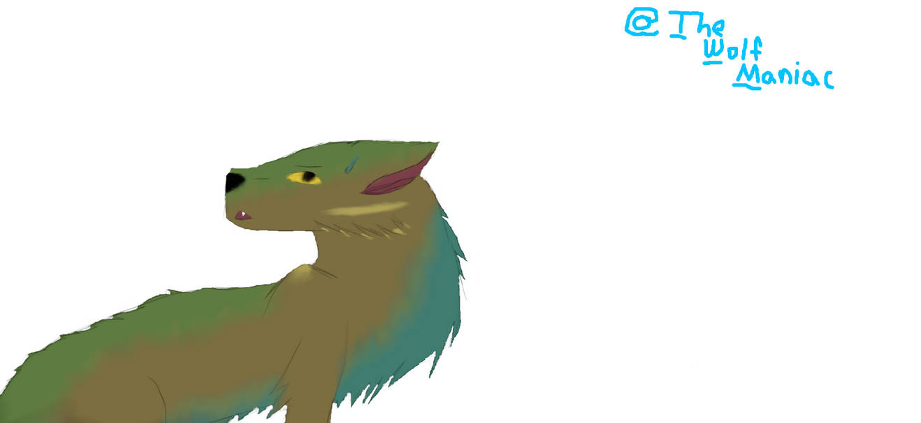First Drawing: Random Wolf by TheWolfManiac on DeviantArt