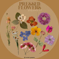 pressed flowers PNG pack - Revelio's