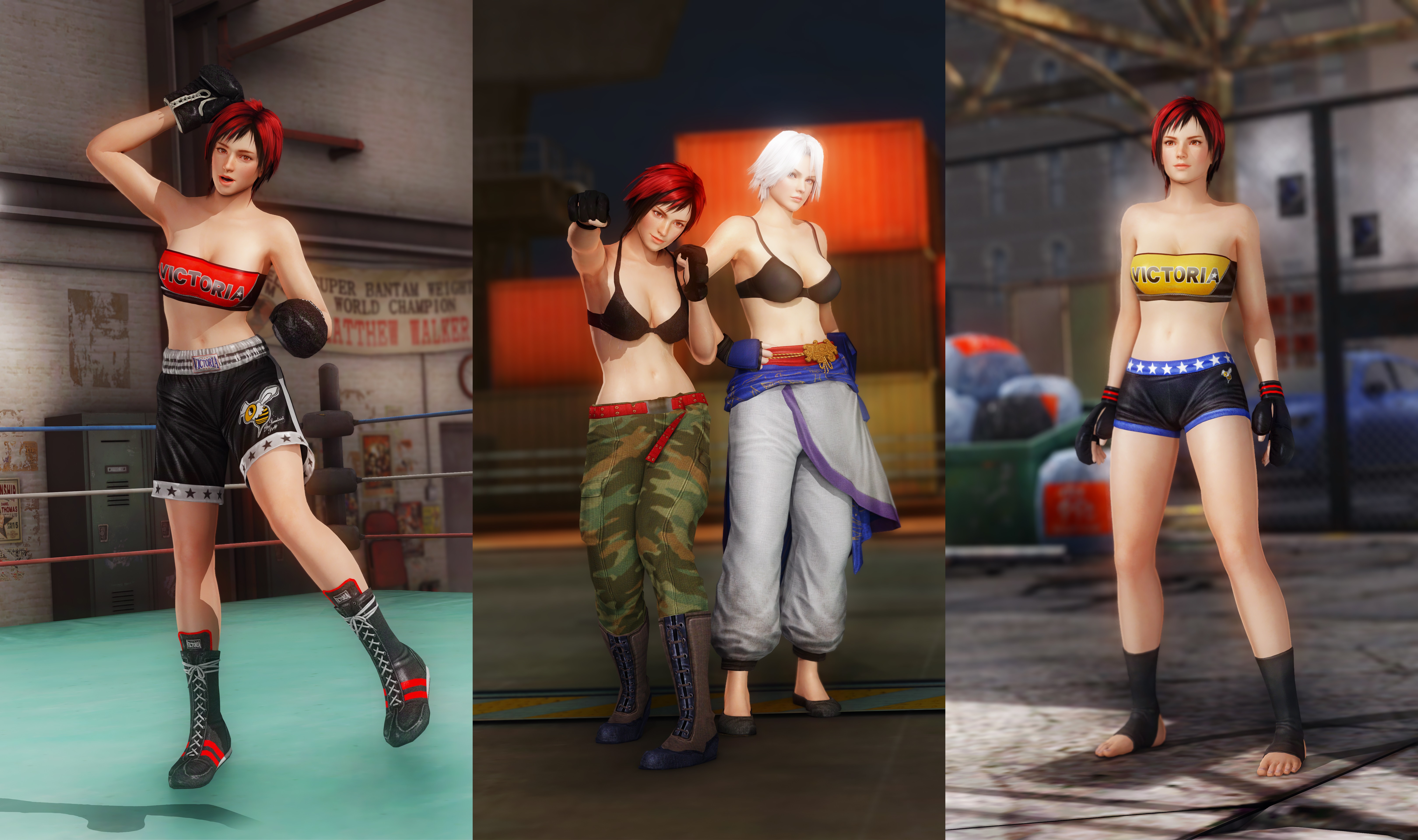 DOA5LR Mod: Training Pack by repinscourge on DeviantArt