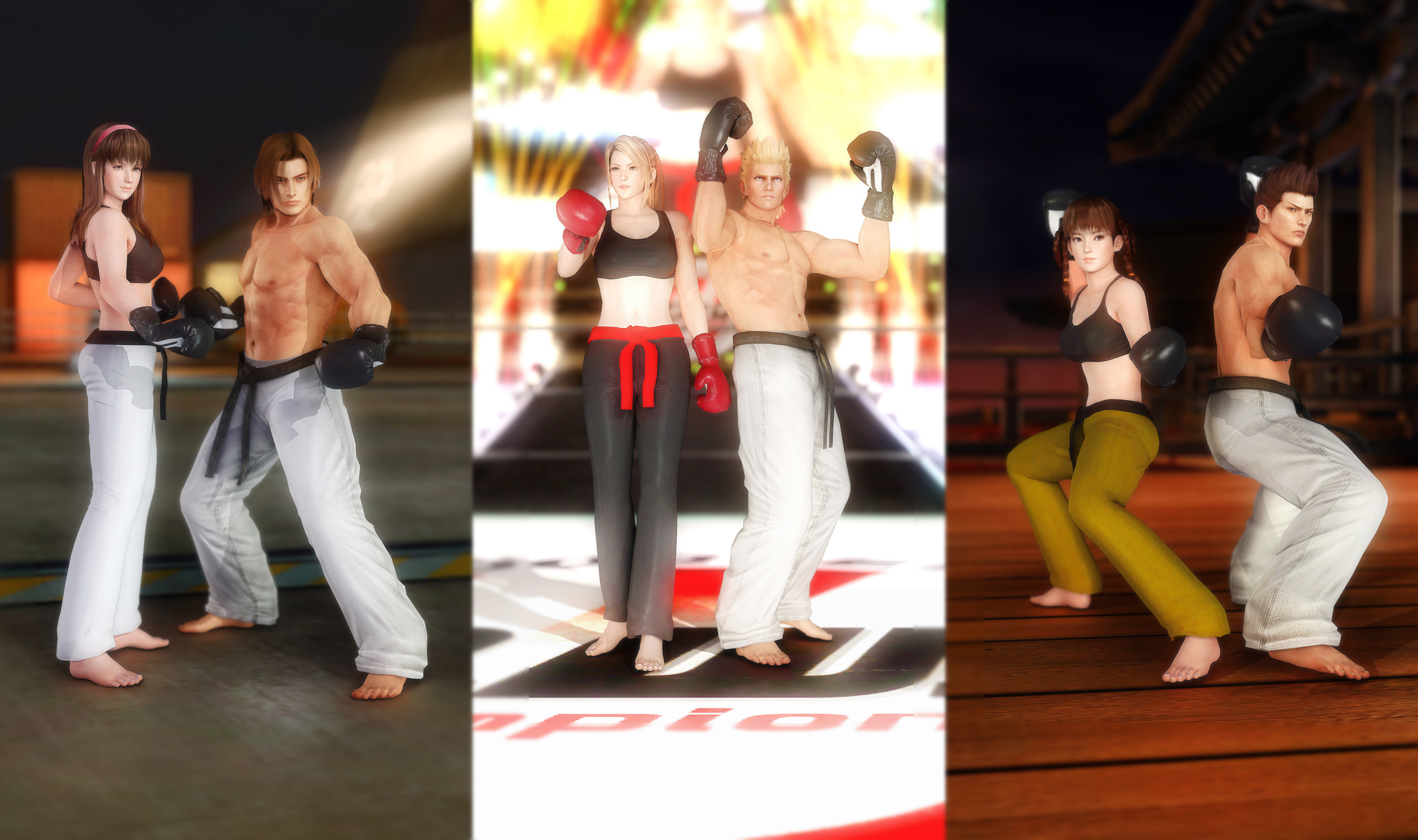 DOA5LR Mod: MMA Boxer Pack