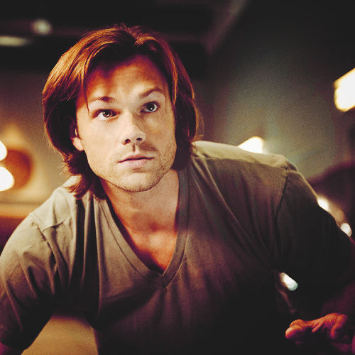 Reading Sam X Reader by vanillacookiemonster on DeviantArt