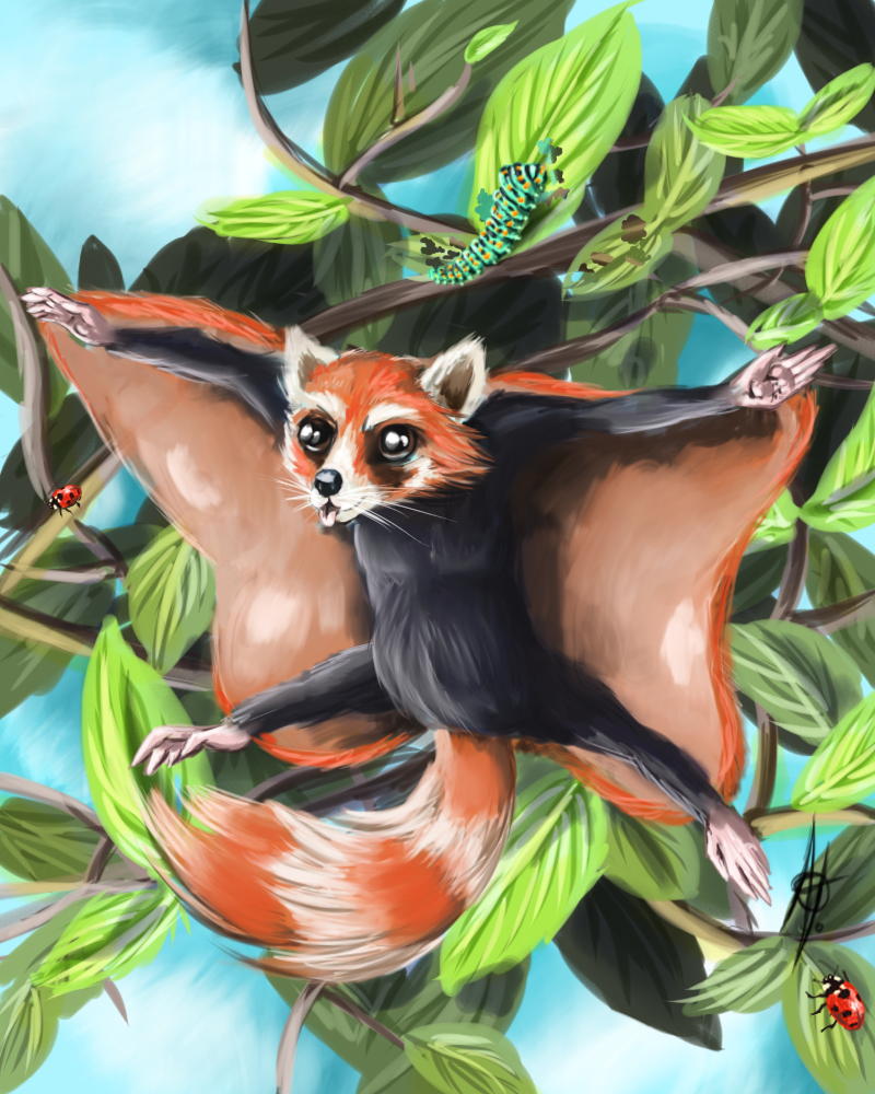 Flying Panda Squirrel by Kattona on DeviantArt