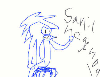 sanic hegedhog