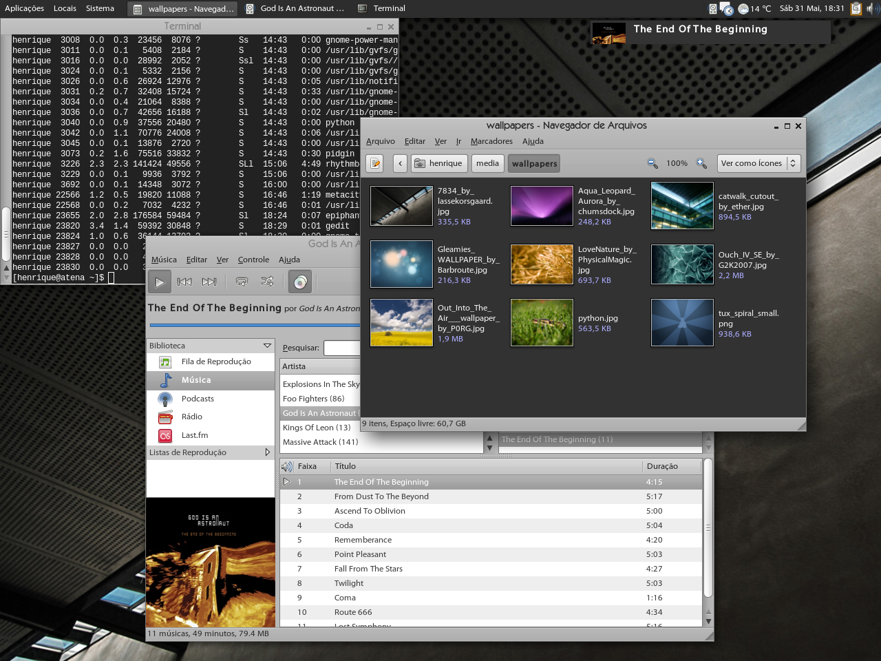 Cleanlook Gnome Theme
