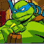 Ninja Turtle Major combat 2