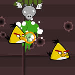 angry bird shot