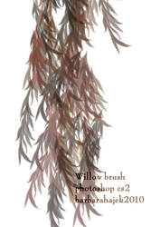 Willow Brush