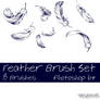 Feather Brush Set 1