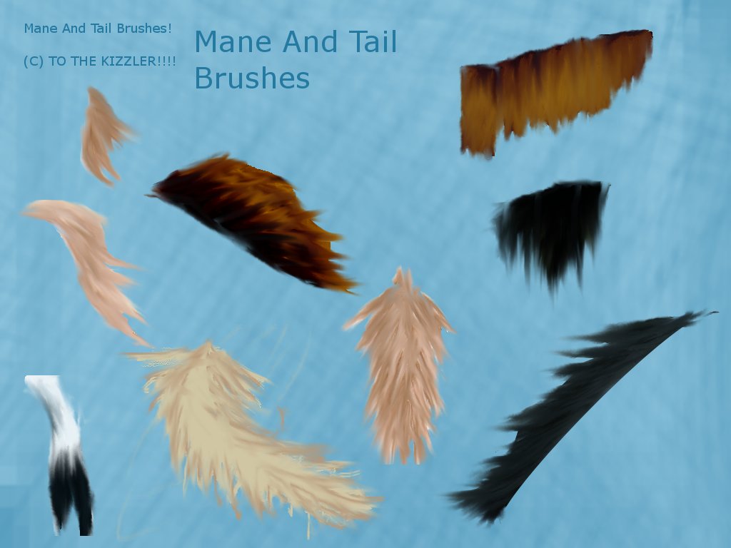 Mane And tail BRUSHES