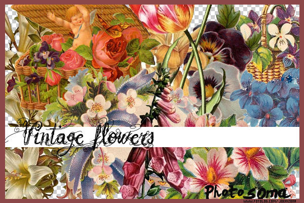 Vintage flowers by photosoma on DeviantArt