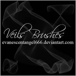 Veils Brushes