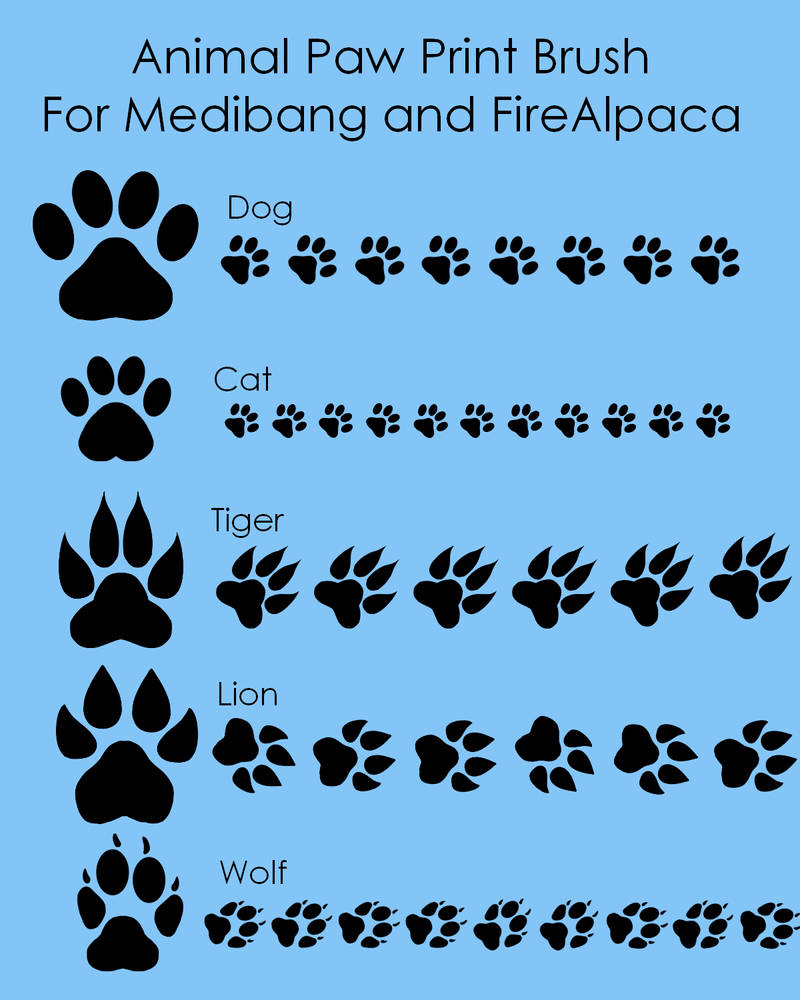 Paw print brush sales
