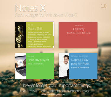 NotesX 1.0 - Windows sidebar gadget for Vista / 7