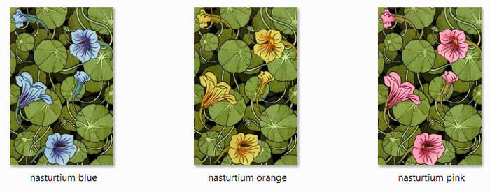 Nasturtium Backgrounds