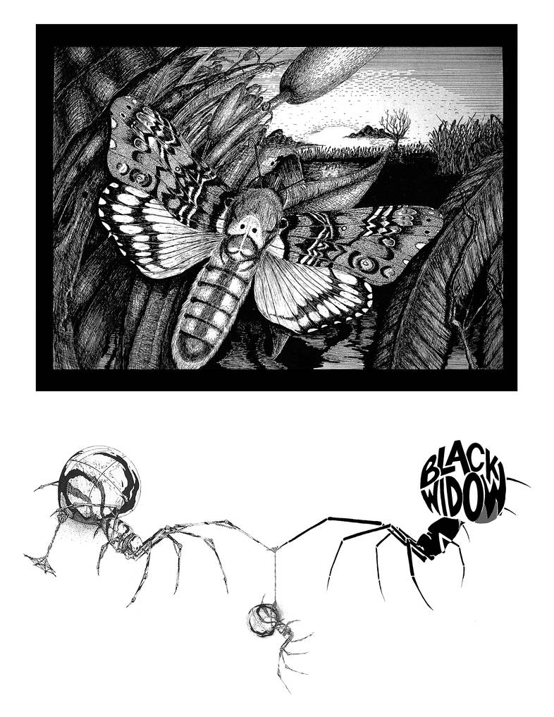 Moth 2 by BCHAGS on DeviantArt