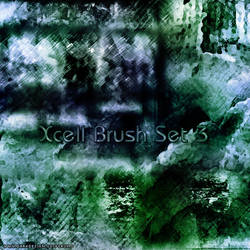Xcell Brush Set 3