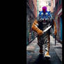 The Unsettling Tiger